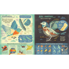 What's Inside A Bird's Nest?: And Other Questions About Nature & Life Cycles | Paperback