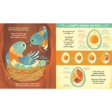 What's Inside A Bird's Nest?: And Other Questions About Nature & Life Cycles | Paperback