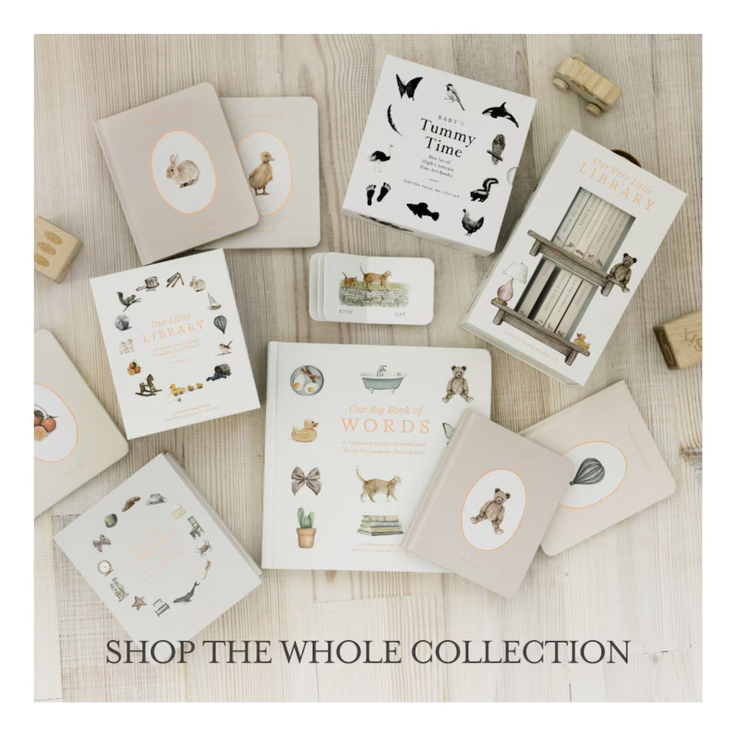 Our Little Library Vol. 3: Dinosaurs, Space, Tools, Bugs, and Sports Board Book Set for Boys & Girls