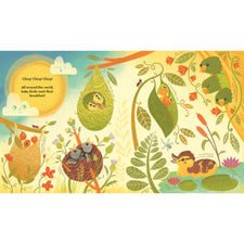 What's Inside A Bird's Nest?: And Other Questions About Nature & Life Cycles | Paperback