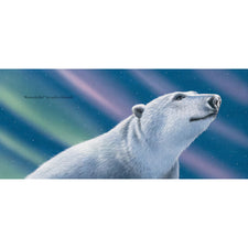 Dasher and the Polar Bear | Hardcover