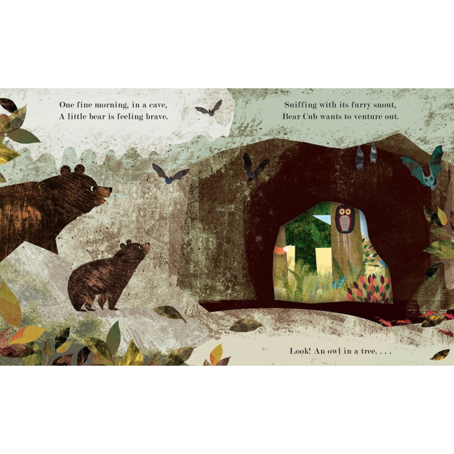 Home: A Peek-Through Board Book