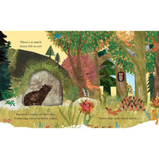 Home: A Peek-Through Board Book