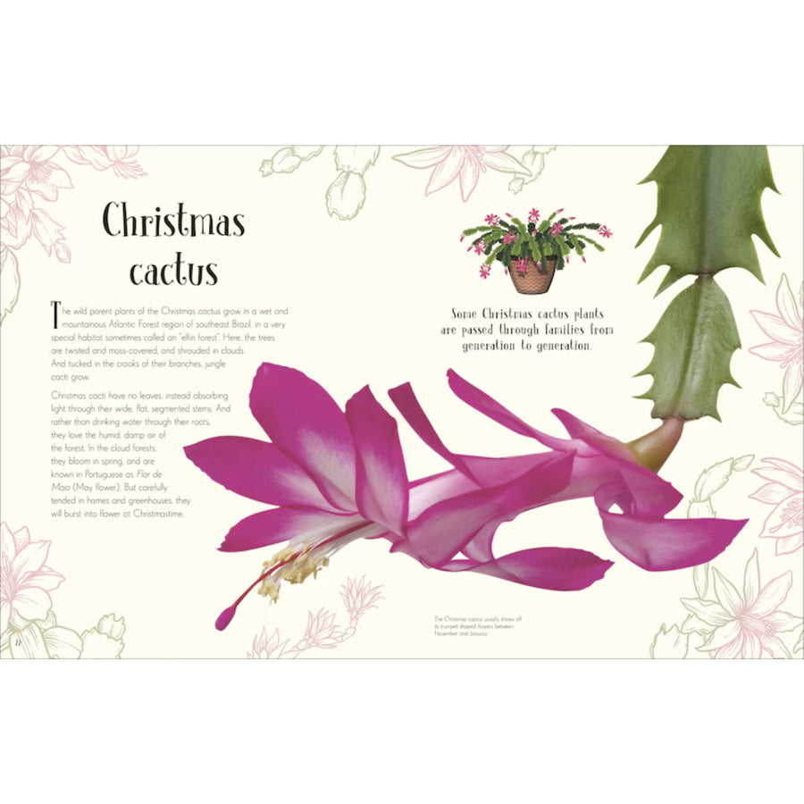 An Anthology of Christmas | Hardcover