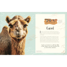 An Anthology of Christmas | Hardcover