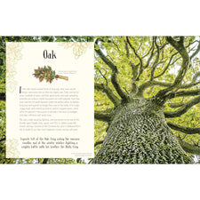 An Anthology of Christmas | Hardcover