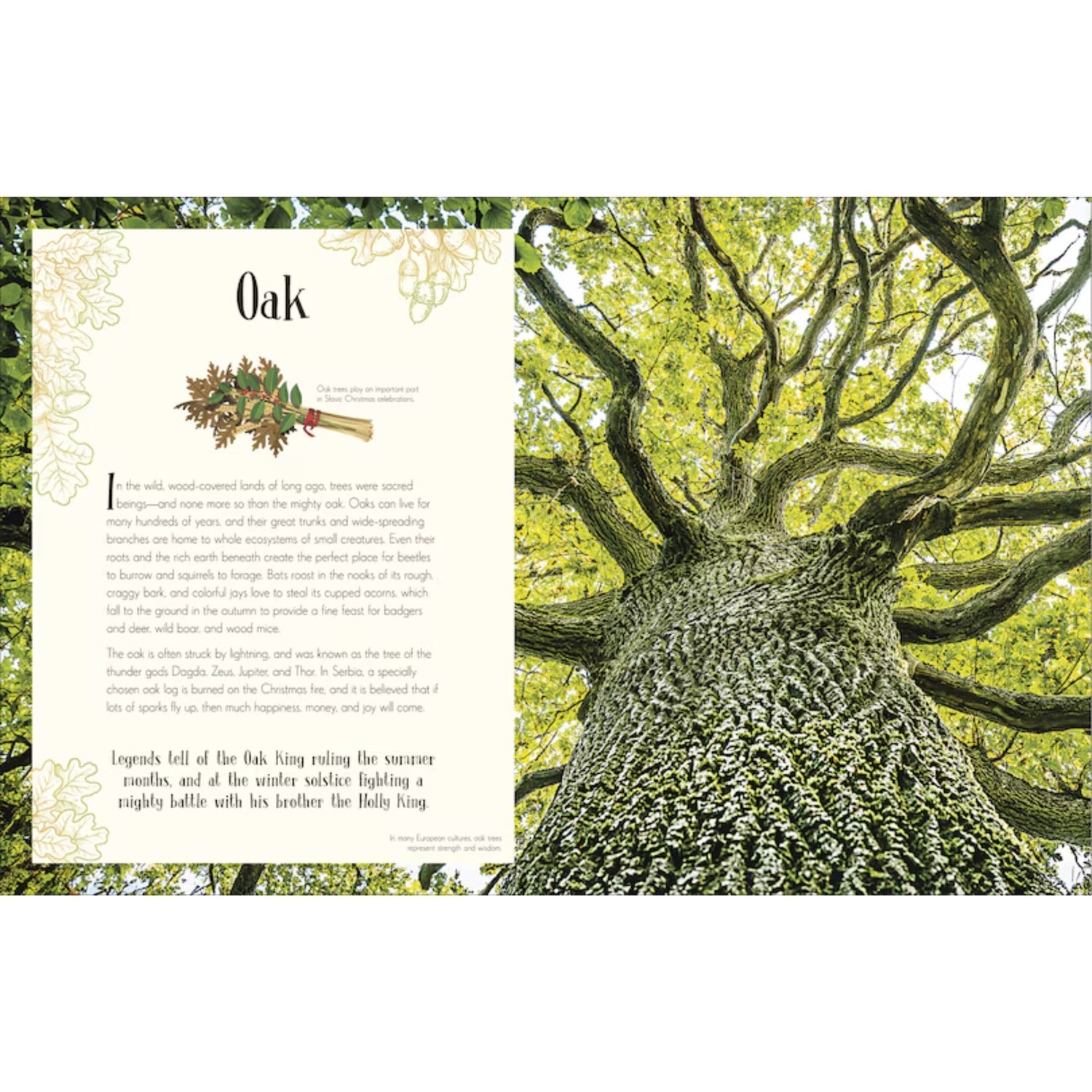 An Anthology of Christmas | Hardcover