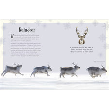 An Anthology of Christmas | Hardcover