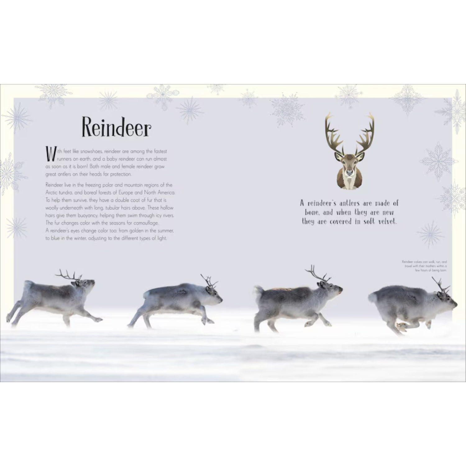 An Anthology of Christmas | Hardcover