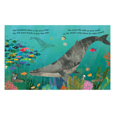 Ocean: A Peek-through Board Book