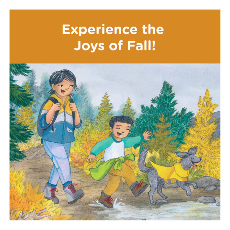 When Fall Comes | Board Book
