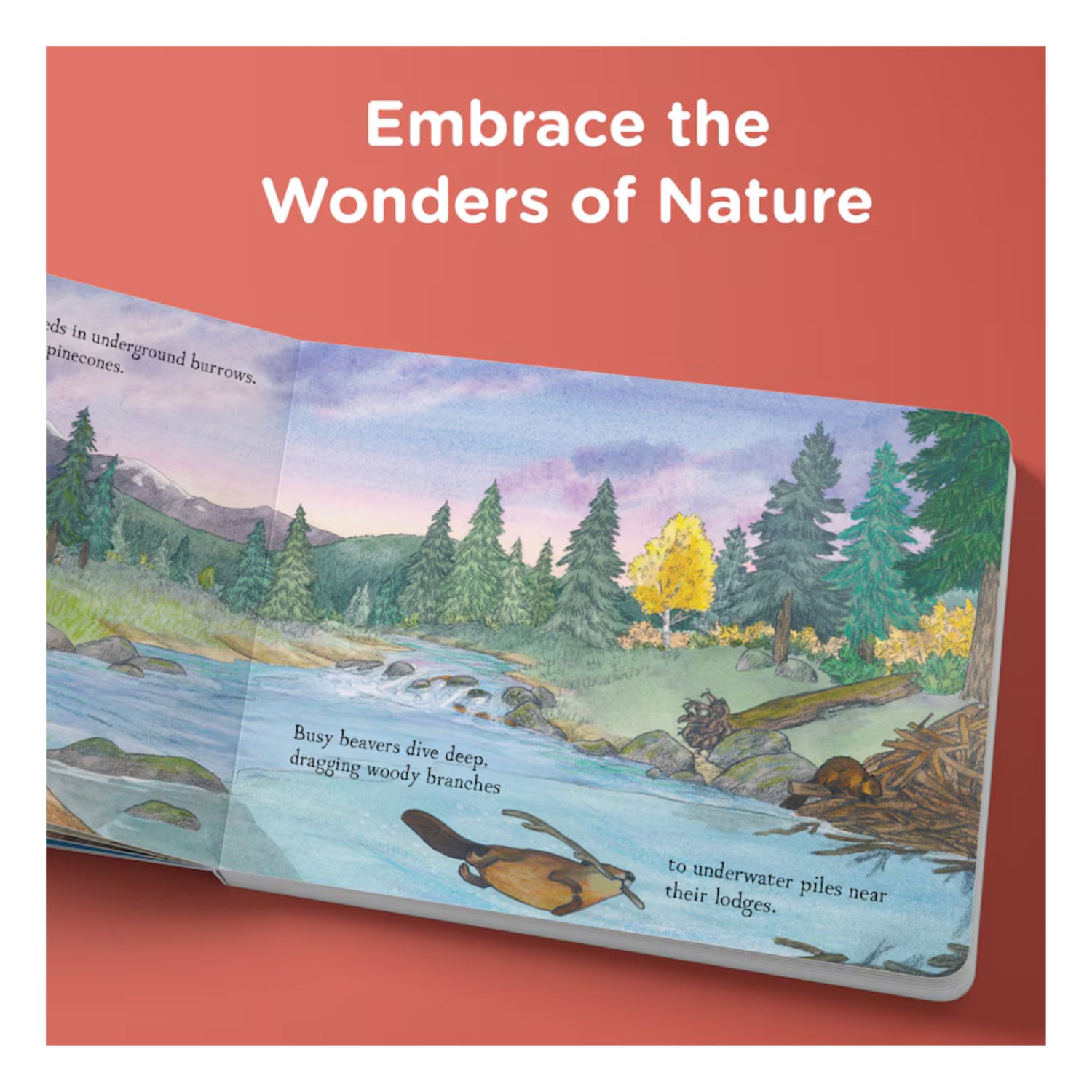 When Fall Comes | Board Book
