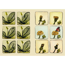 The Newest Gnome | Hardcover (Canadian Author & Illustrator)