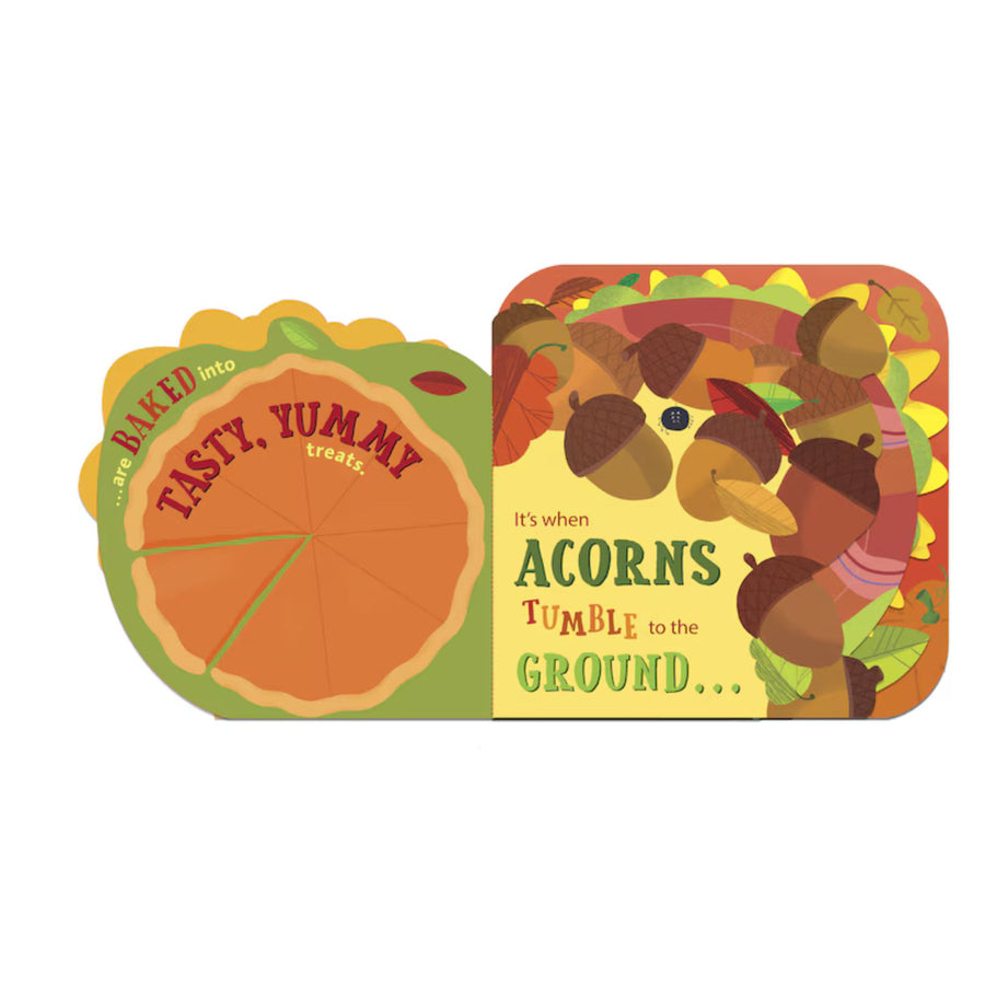 What is Fall? | Board Book