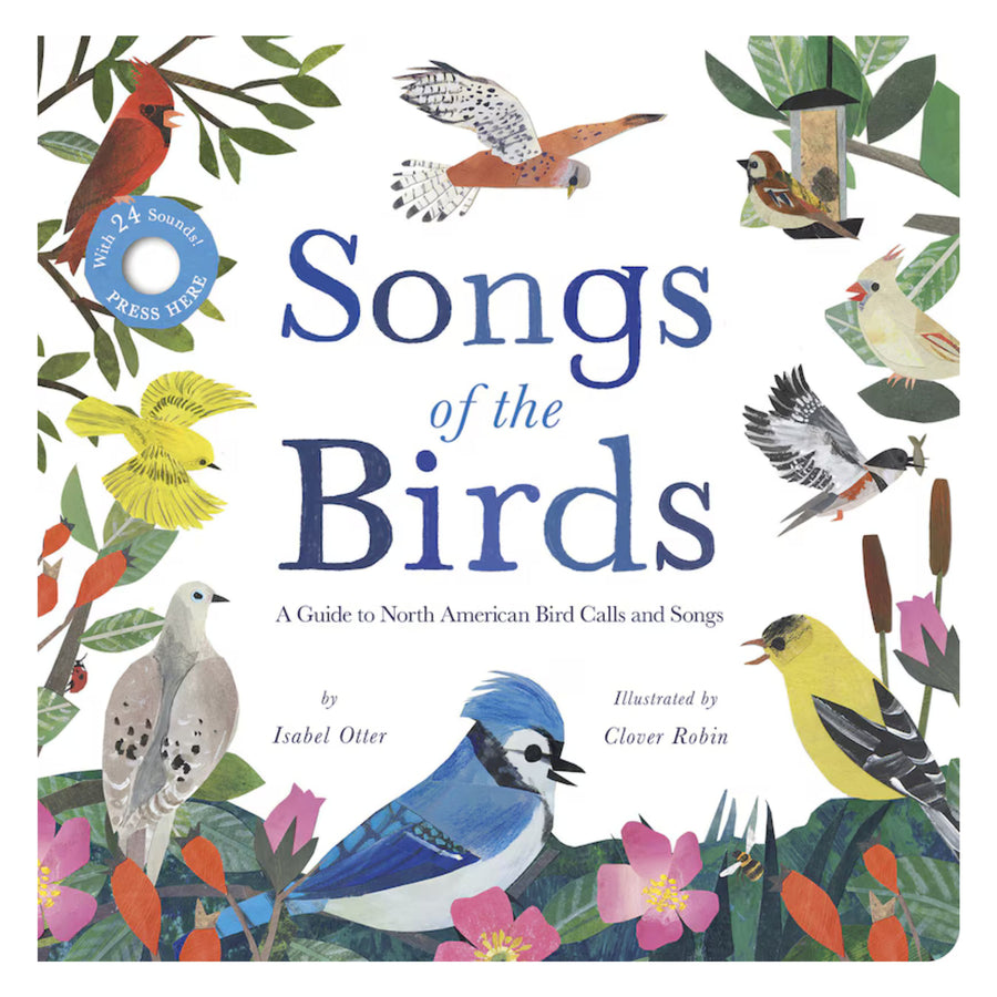 Songs of the Birds: A Guide to North American Bird Calls and Songs | Sound Book