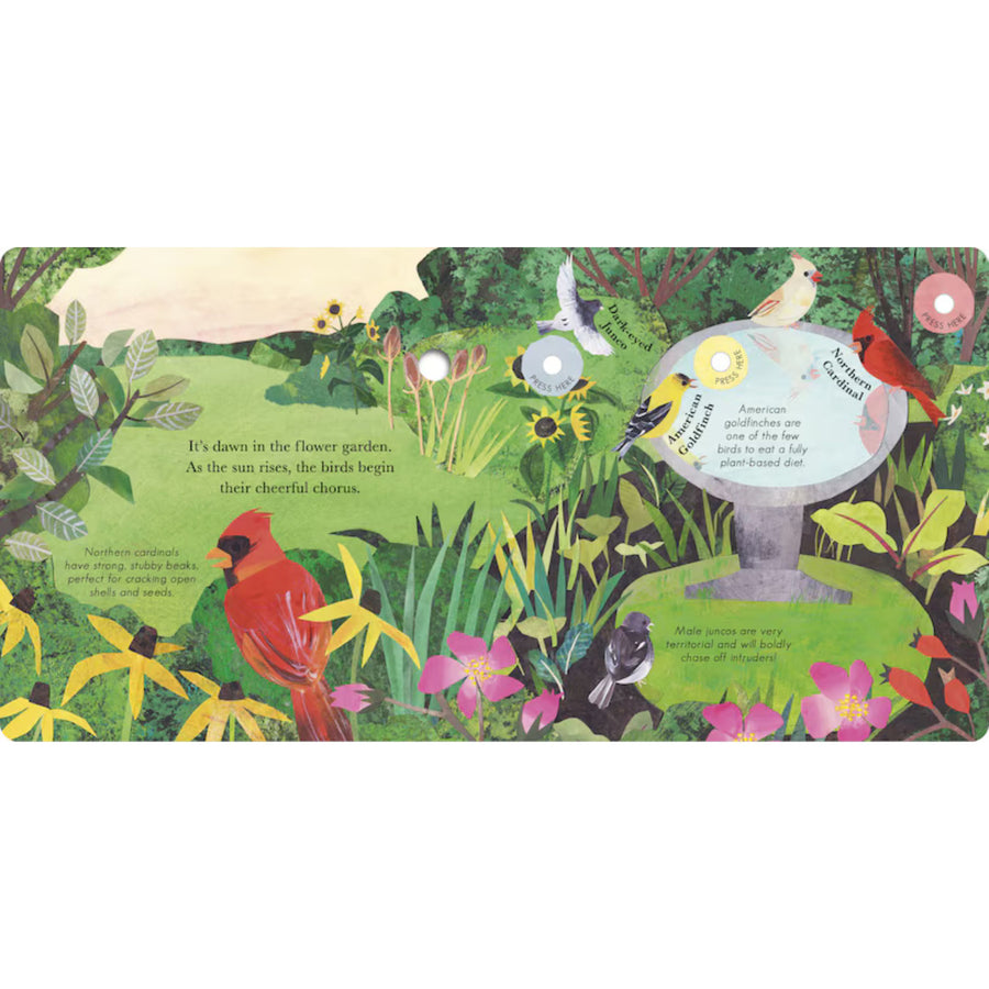 Songs of the Birds: A Guide to North American Bird Calls and Songs | Sound Book