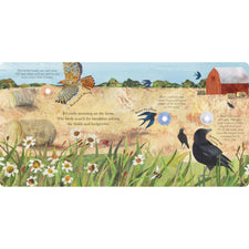 Songs of the Birds: A Guide to North American Bird Calls and Songs | Sound Book
