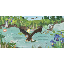 Songs of the Birds: A Guide to North American Bird Calls and Songs | Sound Book