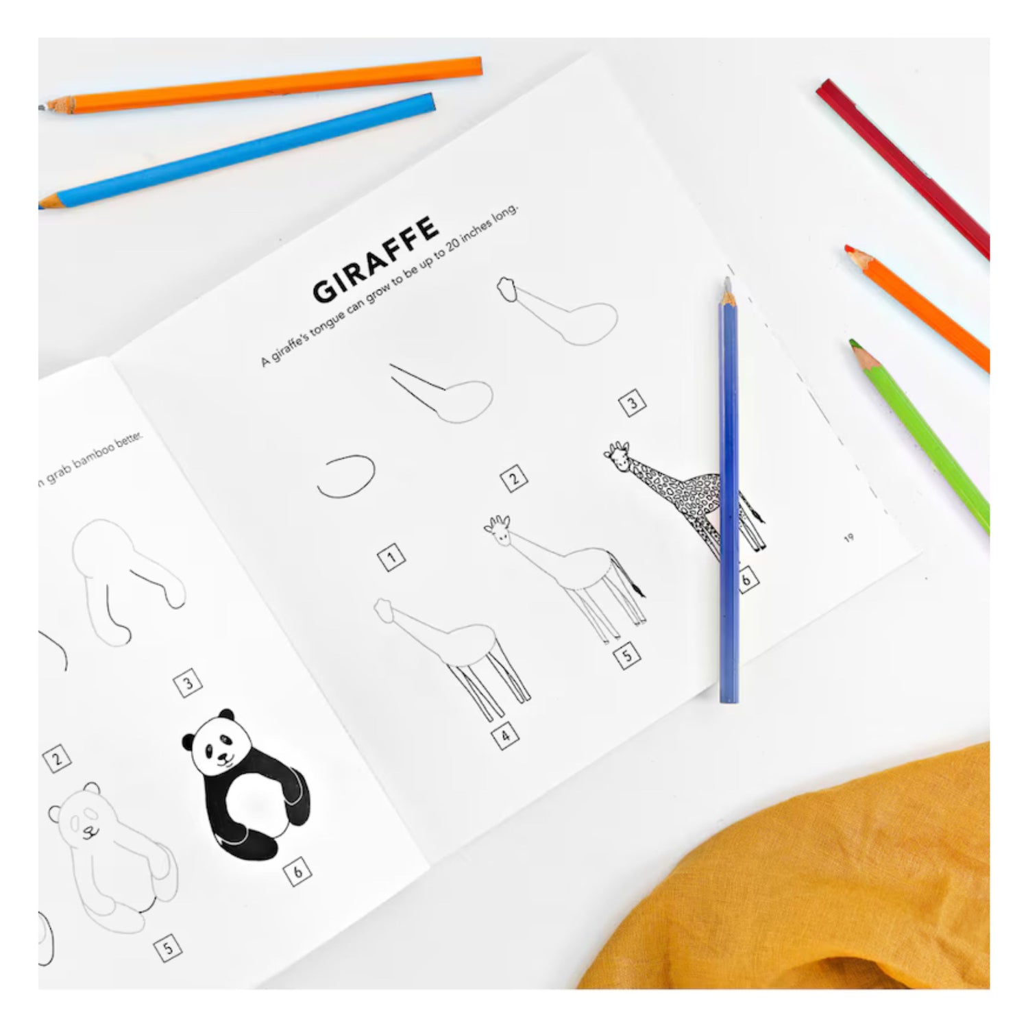 All the Animals: How to Draw Books for Kids with Dogs, Cats, Lions, Dolphins, and More