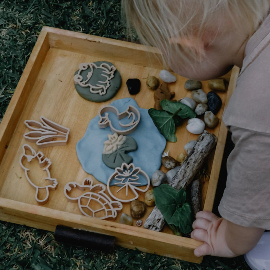 Pond Life Eco Cutter Playdough Set