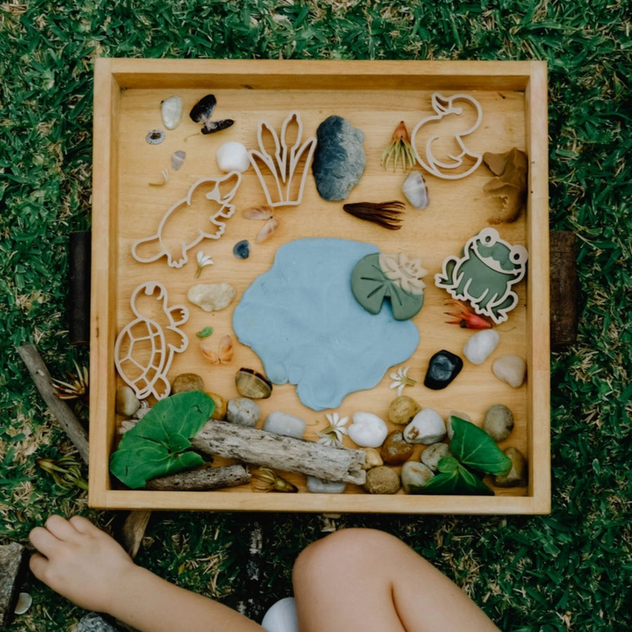 Pond Life Eco Cutter Playdough Set