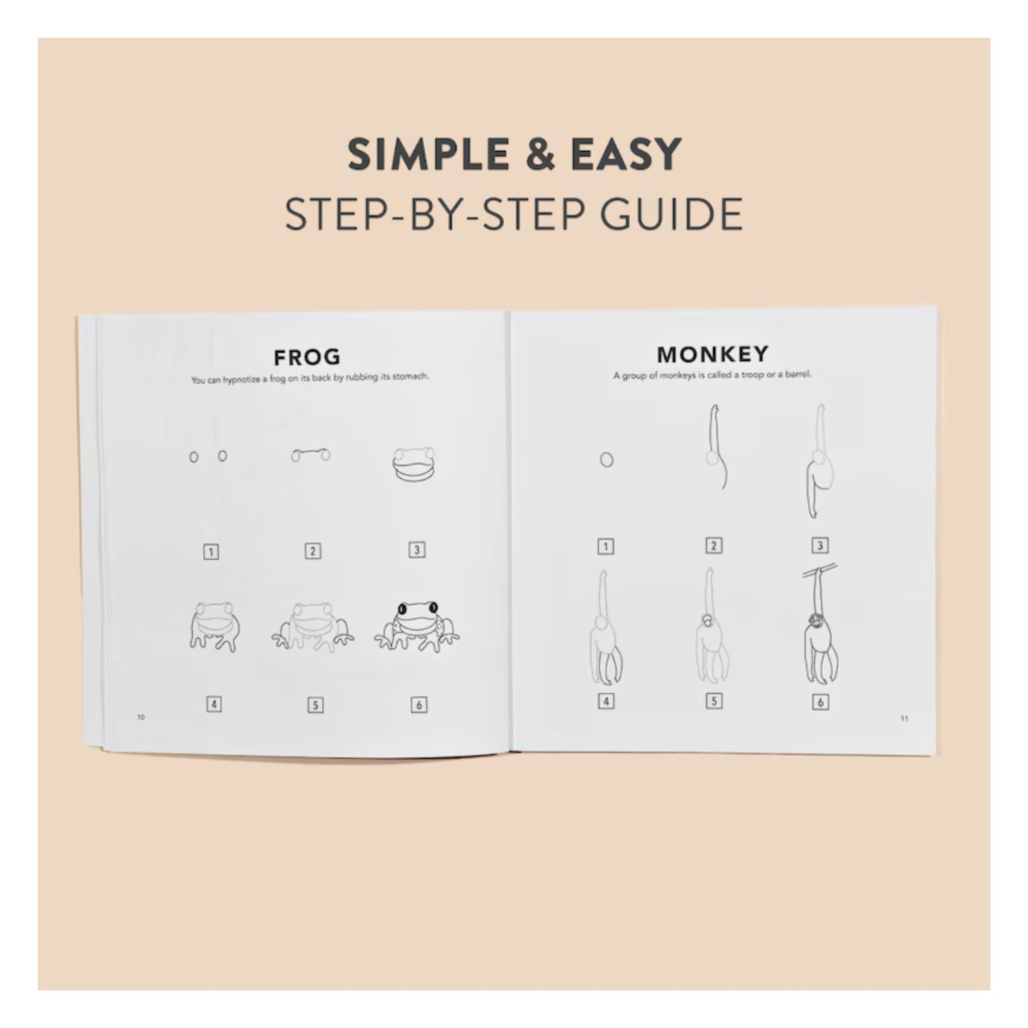 All the Animals: How to Draw Books for Kids with Dogs, Cats, Lions, Dolphins, and More