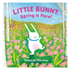 Little Bunny, Spring Is Here! | Board Book