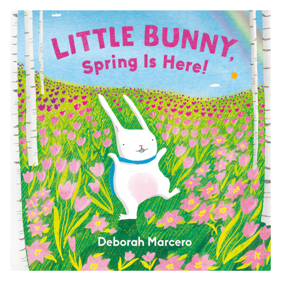 Little Bunny, Spring Is Here! | Board Book