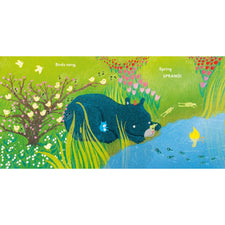 Little Bunny, Spring Is Here! | Board Book