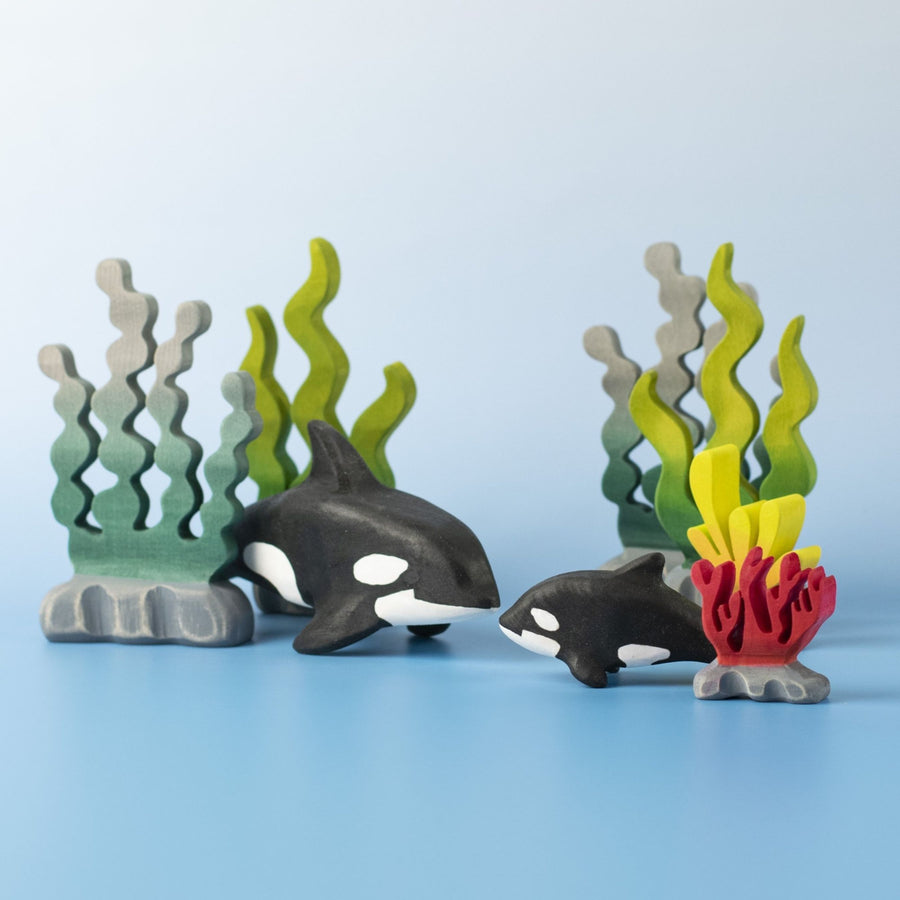 Orca Set | Wooden Toy
