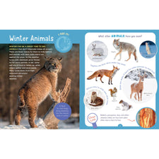 Backpack Explorer: Winter Walk: What Will You Find? | Hardcover