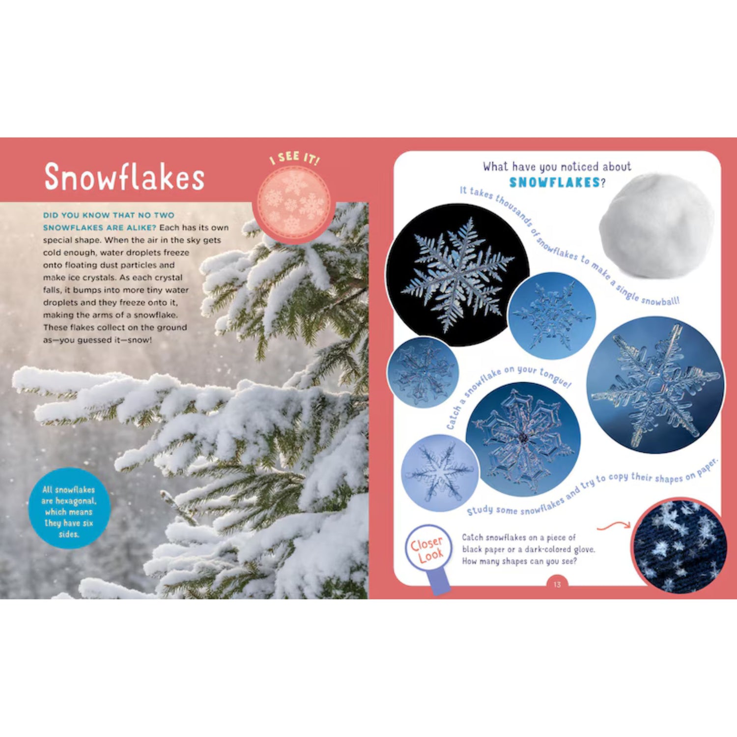 Backpack Explorer: Winter Walk: What Will You Find? | Hardcover