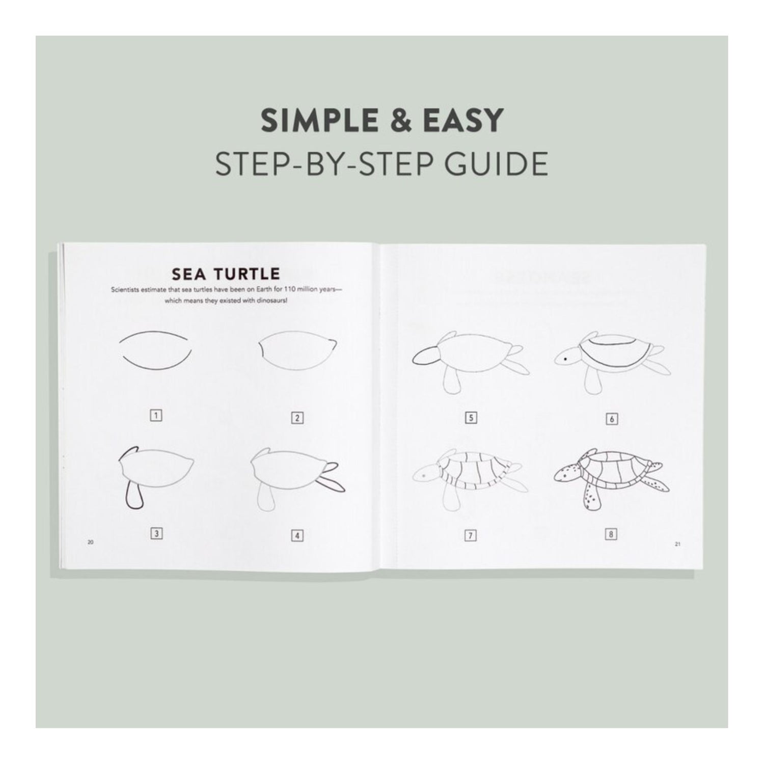 Under the Sea: How to Draw Books for Kids with Dolphins, Mermaids, and Ocean Animals