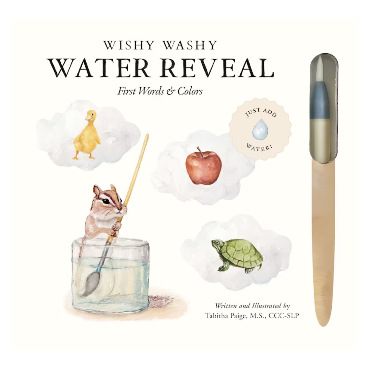 Wishy Washy (Water Reveal Edition): A Reusable Water Reveal Activity Book Teaching First Words and Colors