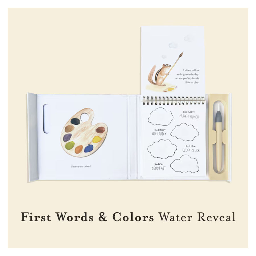 Wishy Washy (Water Reveal Edition): A Reusable Water Reveal Activity Book Teaching First Words and Colors