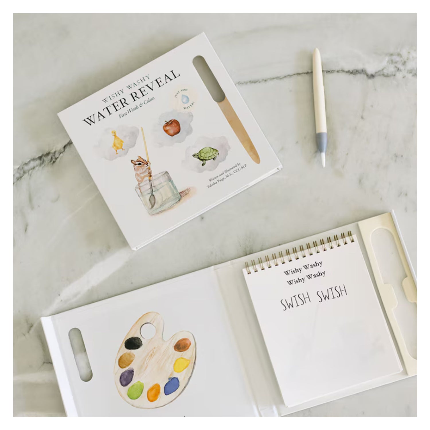 Wishy Washy (Water Reveal Edition): A Reusable Water Reveal Activity Book Teaching First Words and Colors