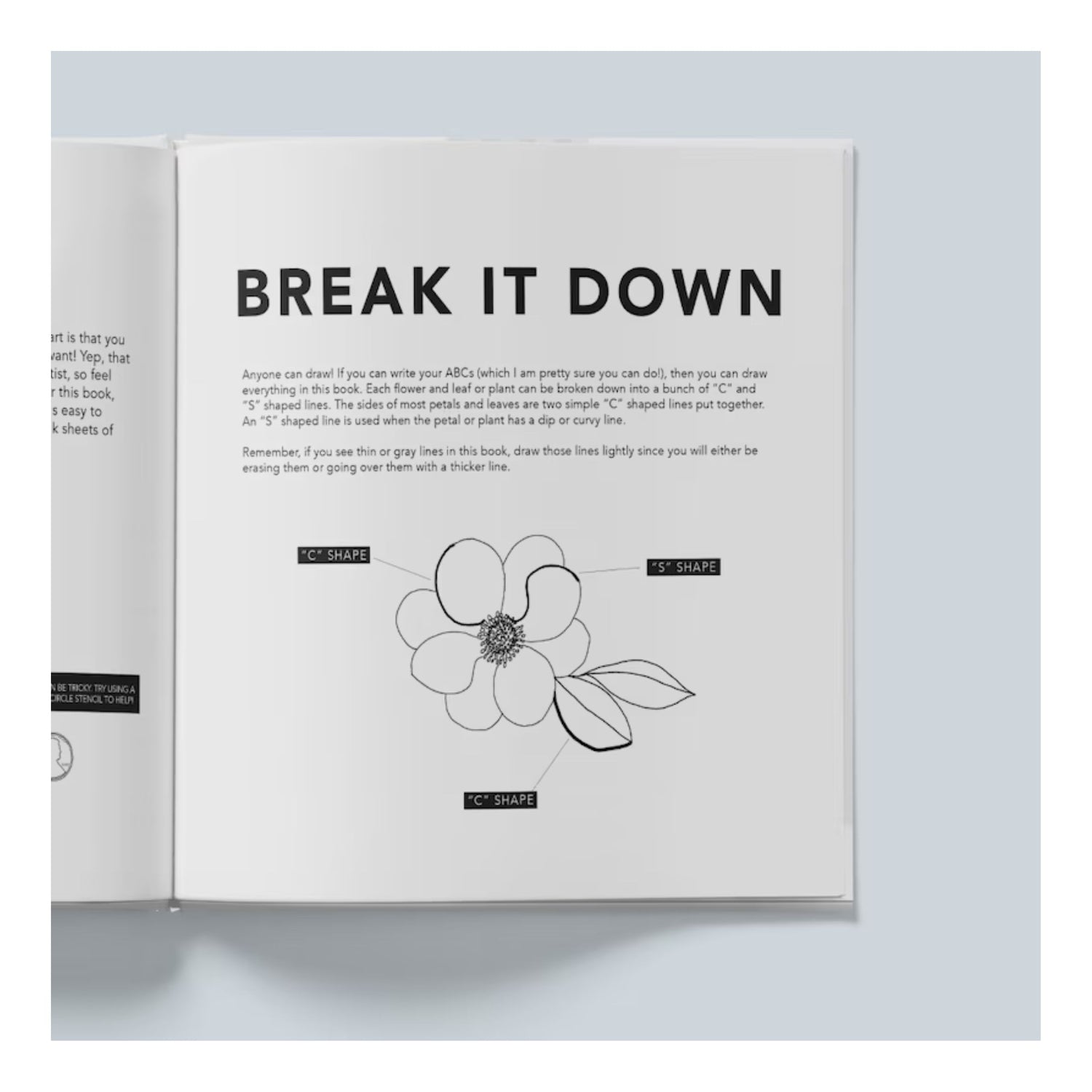 Modern Flowers: How to Draw Books for Kids with Flowers, Plants, and Botanicals