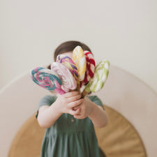 Felt Pink and Green Swirls Lollipop | Play Food