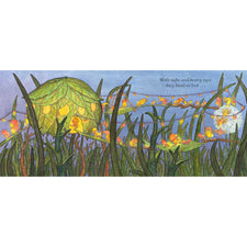 Firefly Lullaby: A Soothing Bedtime Story for Toddlers | Hardcover