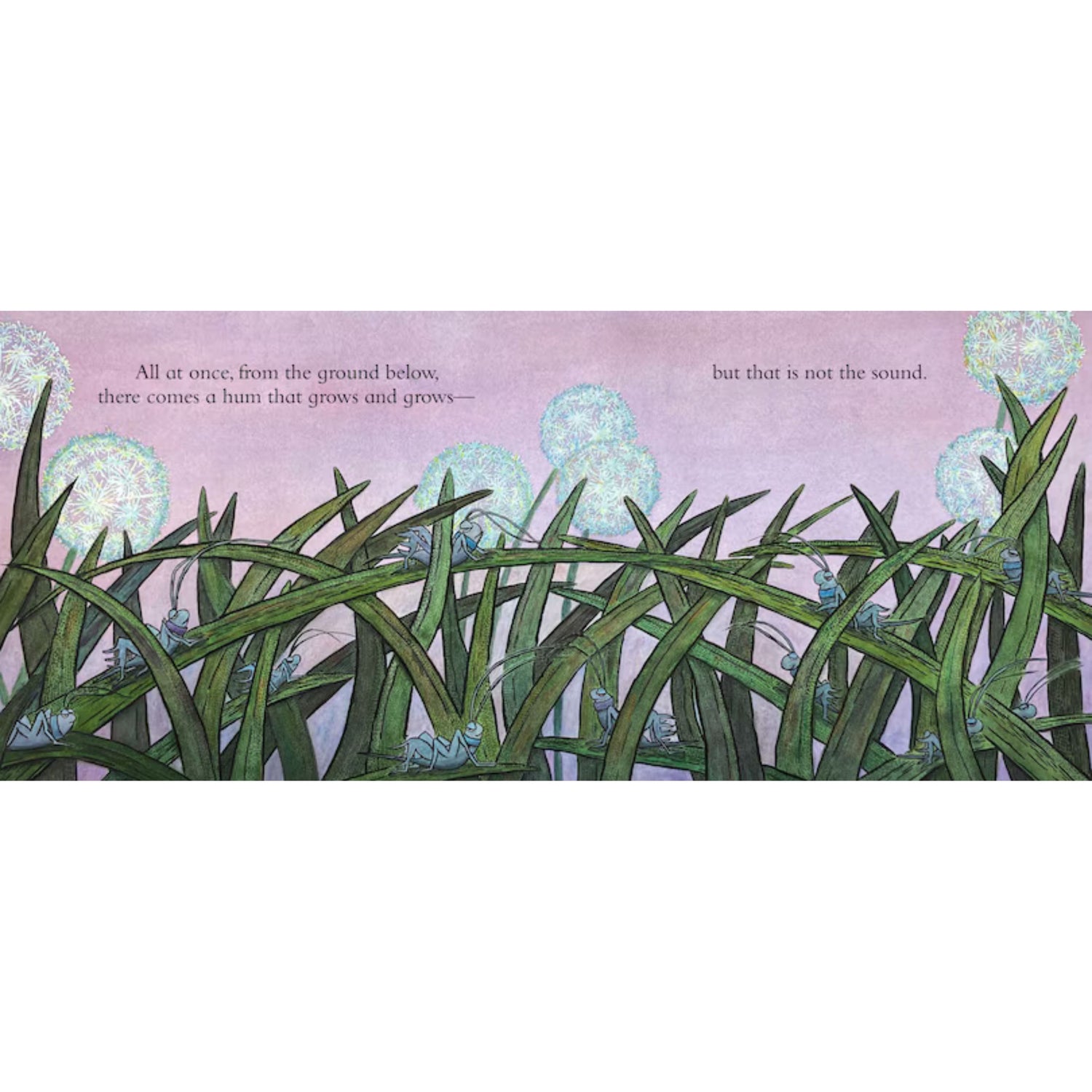 Firefly Lullaby: A Soothing Bedtime Story for Toddlers | Hardcover