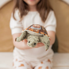 Boneco De Mão Folkmanis Little Turtle, Verde Clássico | Parcelamento Boneco De Mão Folkmanis Little Turtle, Verde Clássico | Parcelamento
