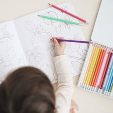 Watercolour Pencils (Set of 24)