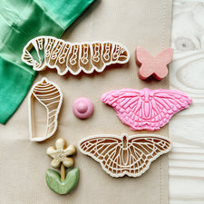 Kinfolk Pantry Butterfly Lifecycle Eco Cutter Set