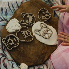 Pet Friends Eco Cutter Set