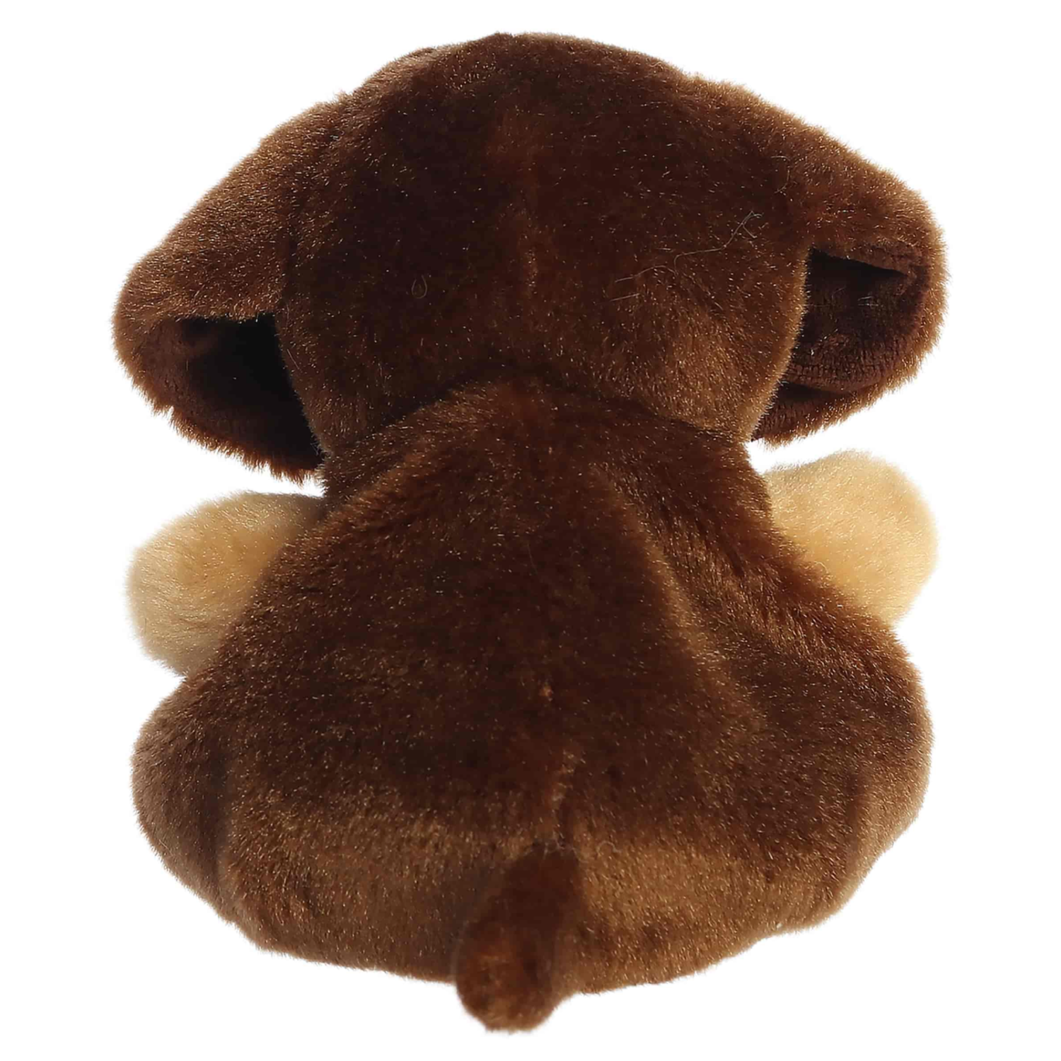 Palm Pals Houdini Dachshund