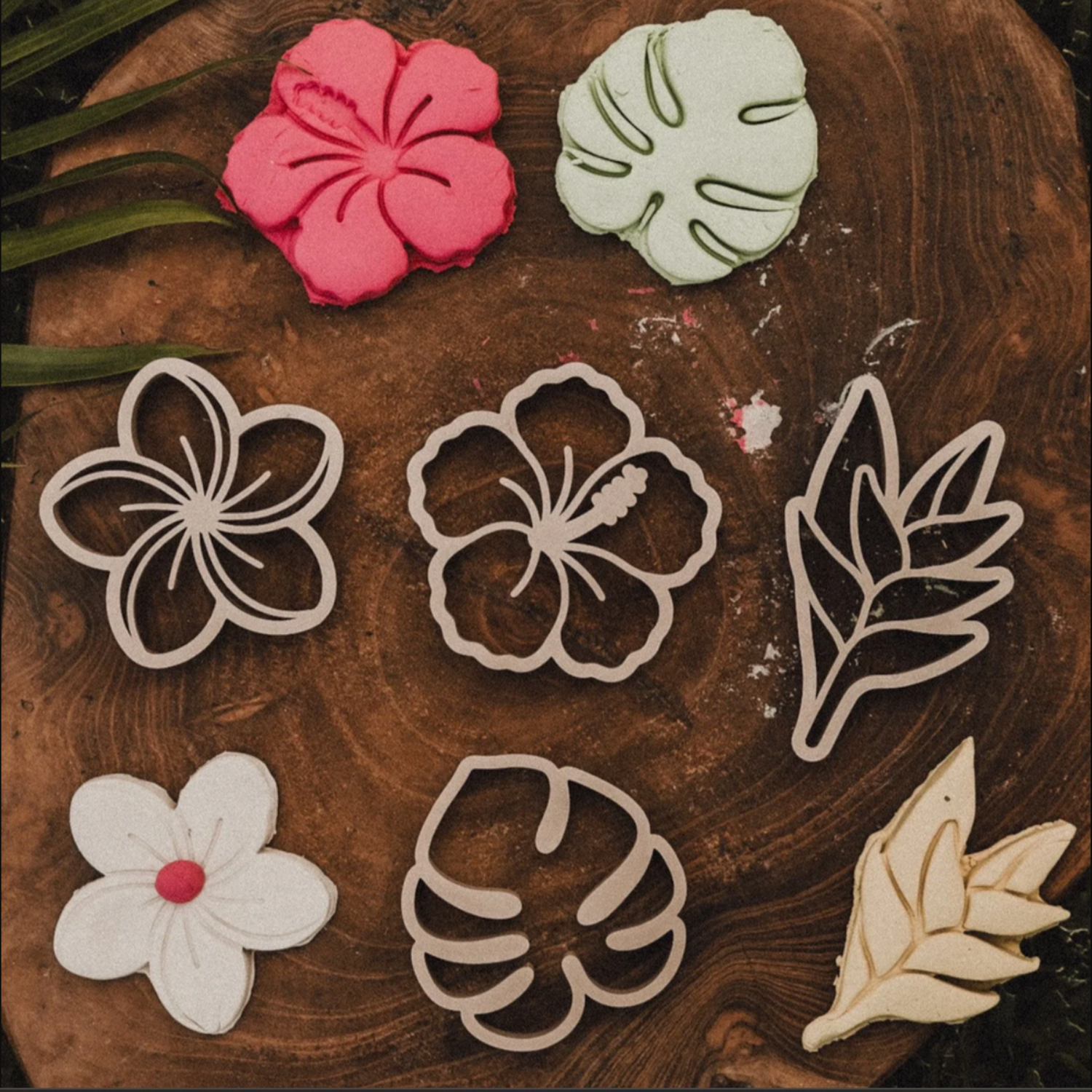 Tropical Flower Eco Cutter Set