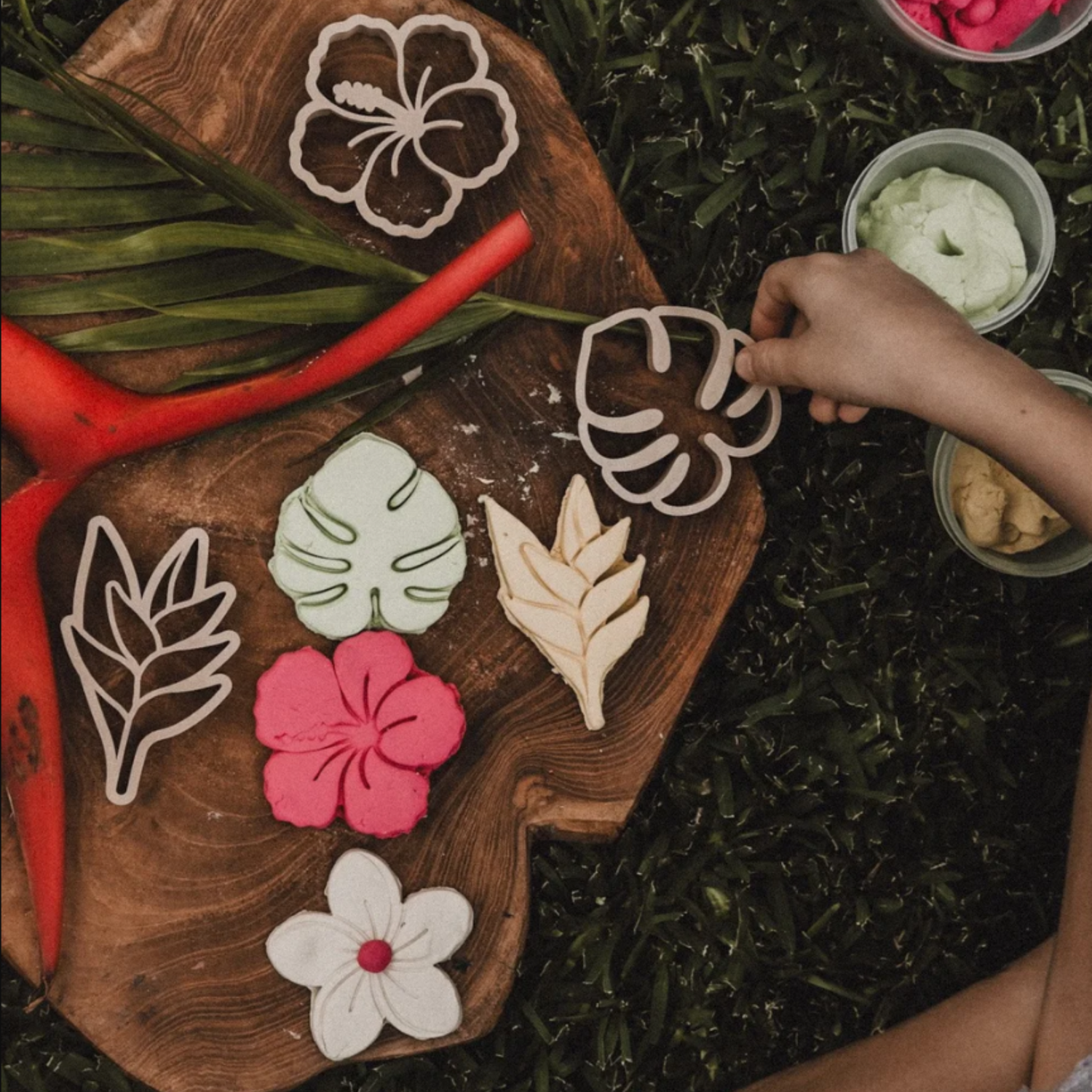 Tropical Flower Eco Cutter Set