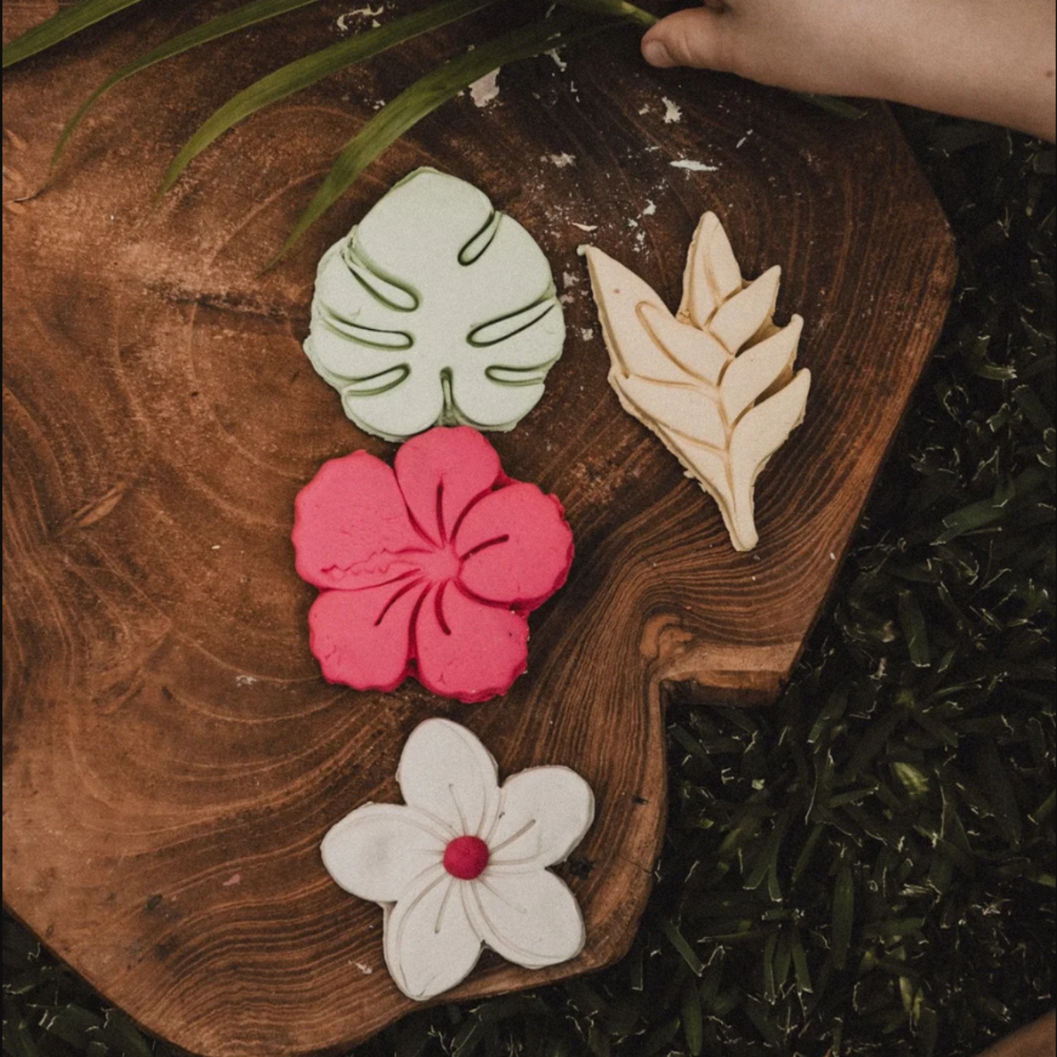 Tropical Flower Eco Cutter Set