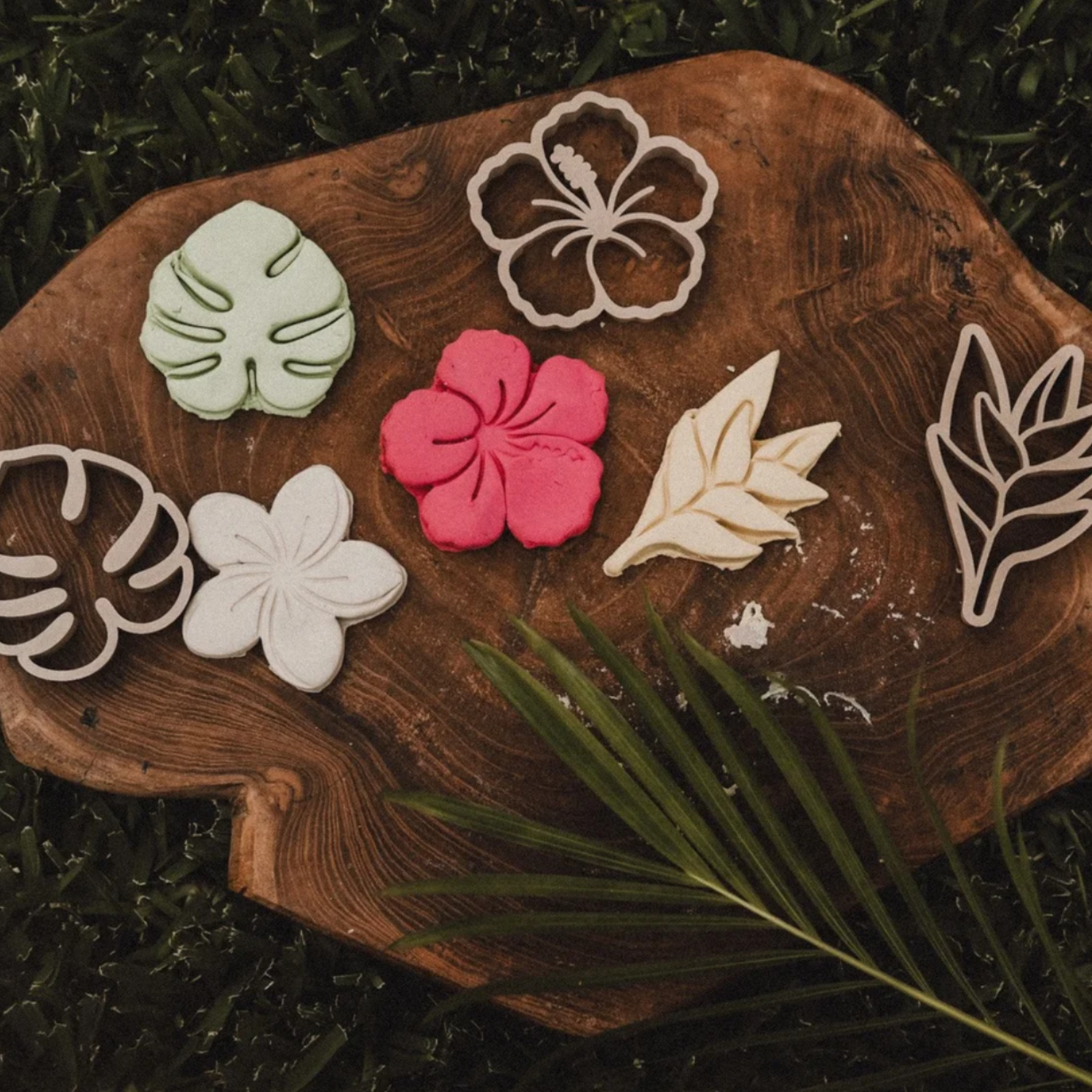 Tropical Flower Eco Cutter Set