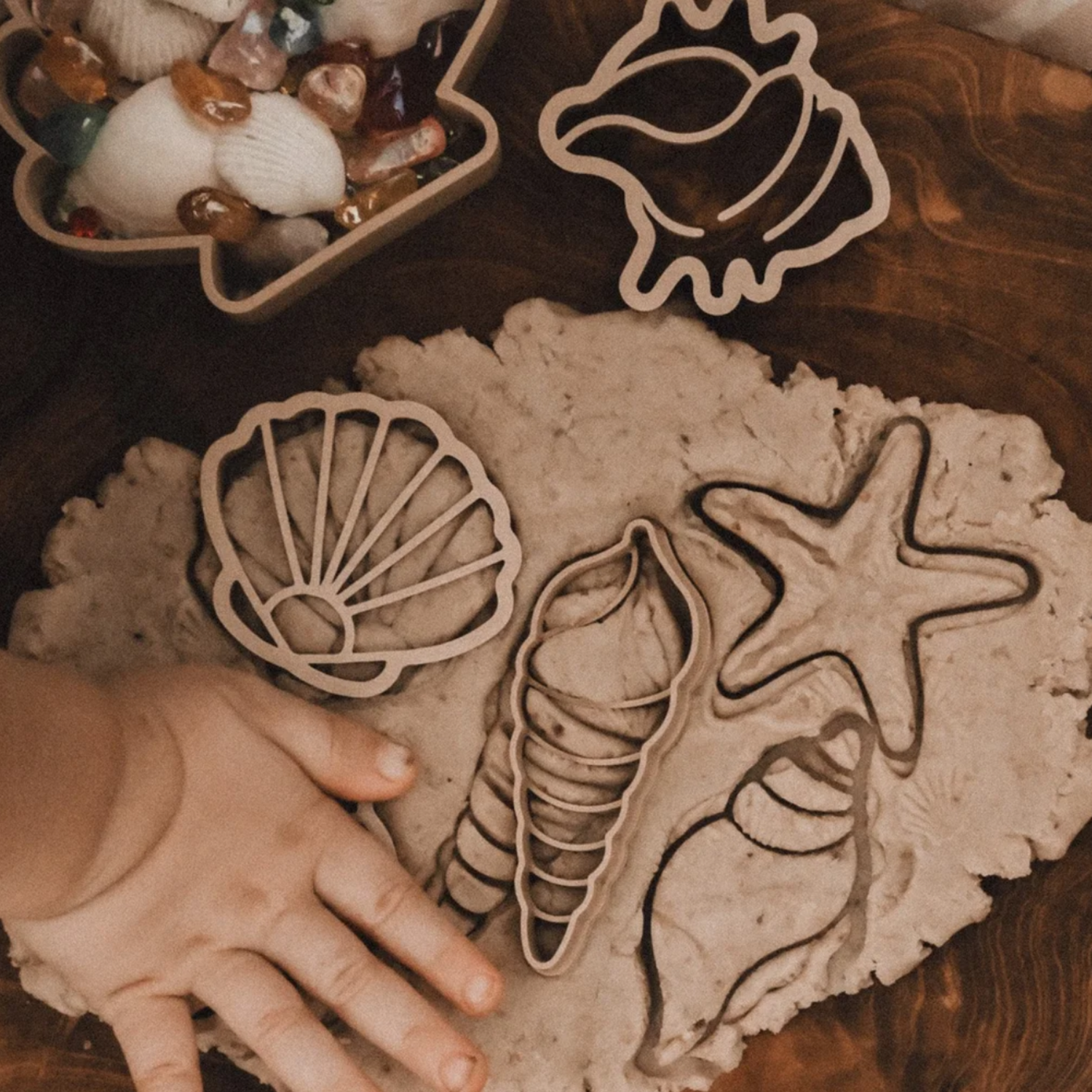 Seashell Eco Cutter Set